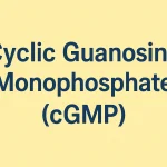 Cyclic Guanosine Monophosphate (cGMP)