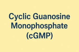 Cyclic Guanosine Monophosphate (cGMP)